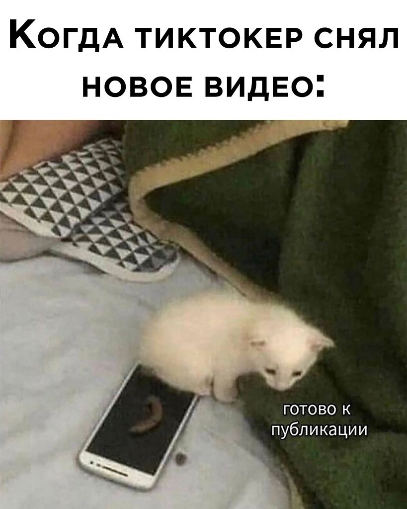 ☆ ☆ - 8  2022  03:16