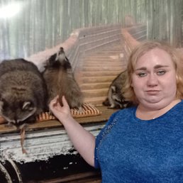 , 41 ,  
