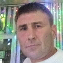 �������, ������, 46 ���