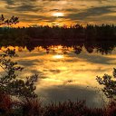 ���� ����������, �����-��������� - ��������� 9 ���� 2022 � ������ ������ ��������