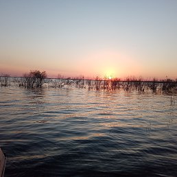 ���� ������, ���������, 64 ���� - ��������� 27 ������� 2022