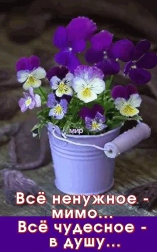   - 9  2023  09:56