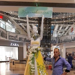 ���� �����, ��������, 63 ���� - ��������� 31 ����� 2022