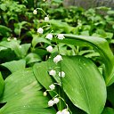 ���� ������, �������, 53 ���� - ��������� 18 ��� 2022