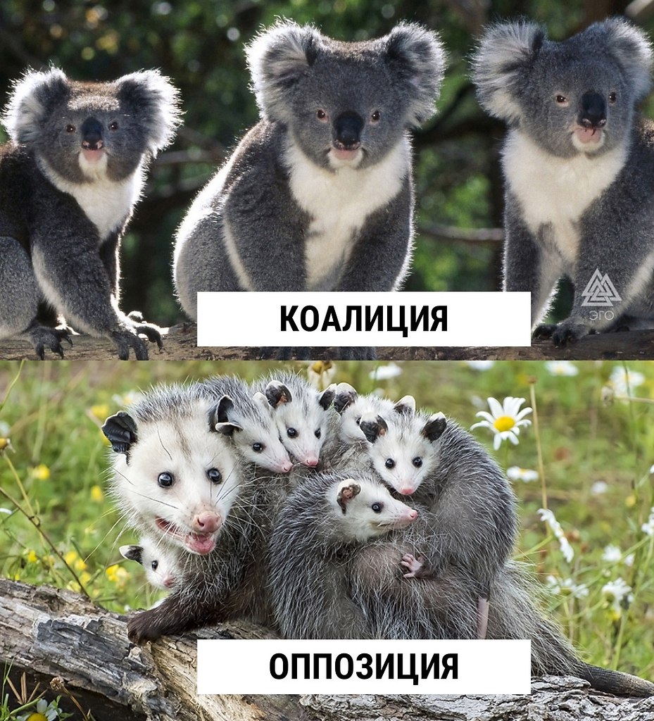  | ,  - 5  2022  15:47