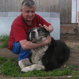 ���� ������, ������, 85 ��� - ��������� 4 ������ 2023