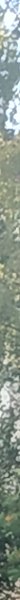 , , 45 