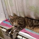 ���� �������, ������, 47 ��� - ��������� 22 ������� 2022 � ������ ���� ����������