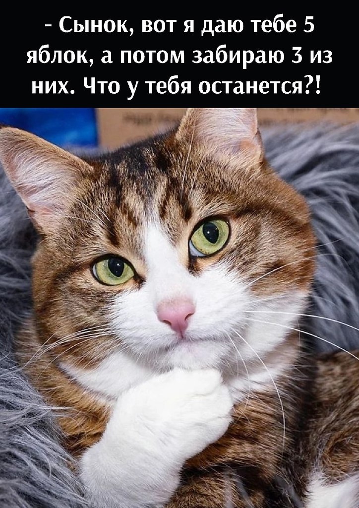       - 15  2022  15:48