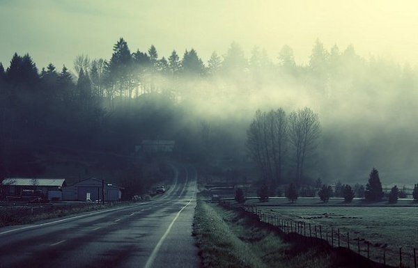 Говоришь, что любишь дождь, но гуляешь под зонтом. Говоришь, что любишь солнце, но ищешь тень, когда ...