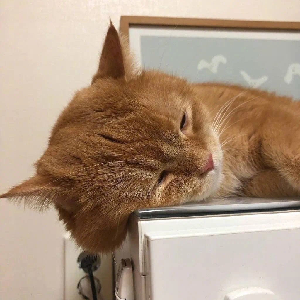      : - 3