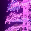 ���� ������, ������, 65 ��� - ��������� 23 ������� 2022 � ������ ���� ����������