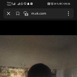 �����, ���������, 46 ���