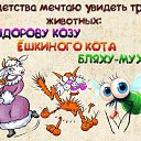  , -- -  26  2022