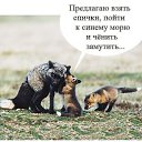 ���� O_mela, ������ - ��������� 31 ����� 2022 � ������ ���� ����������