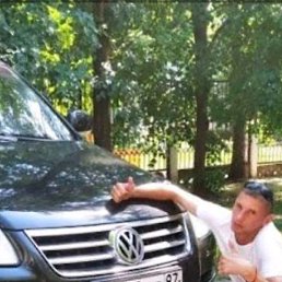 ���, ������, 40 ���