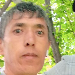 , , 43 