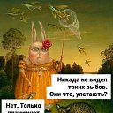 ���� �������, ��������� - ��������� 25 �������� 2022 � ������ ������ ��������