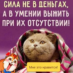 �������, �������, 47 ���