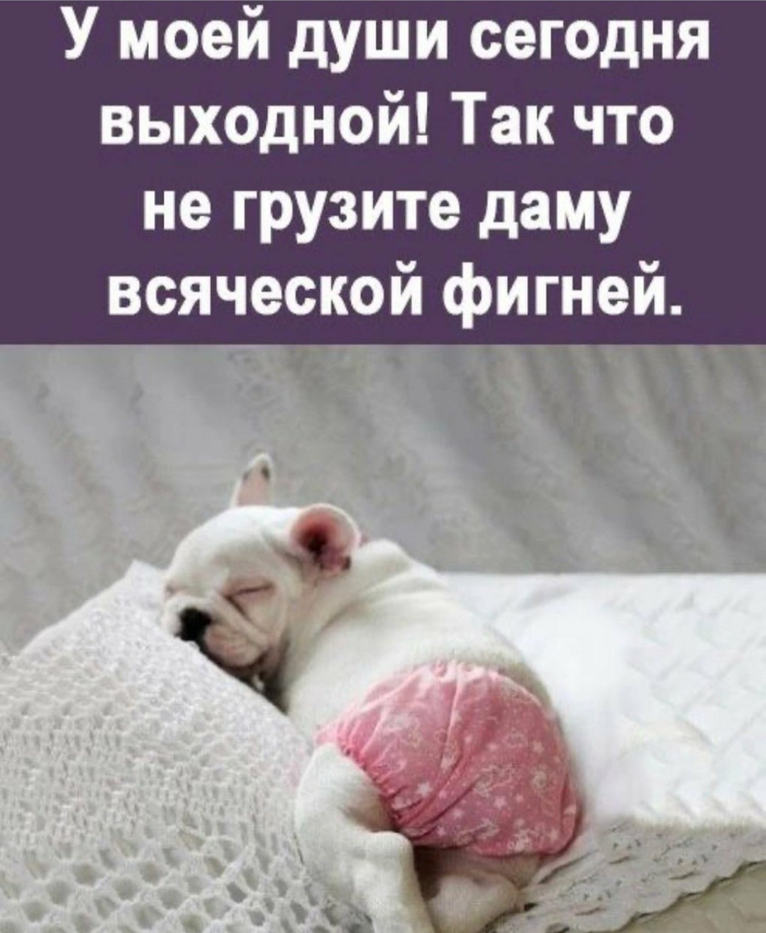 *T���* - 18 ����� 2022 � 10:16