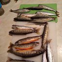 ���� �������, �������, 63 ���� - ��������� 21 ������� 2022 � ������ ���� ����������