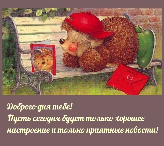  ,    . - 3  2022  10:53