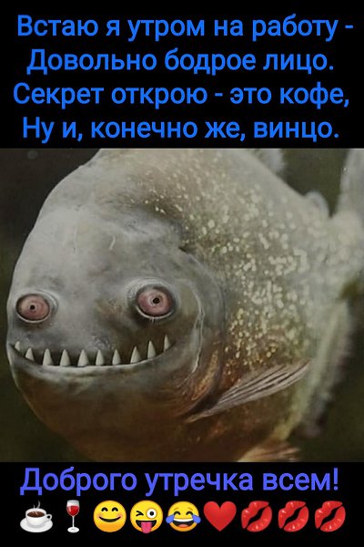 ***Victoria Viktorovna*** - 31  2022  04:09