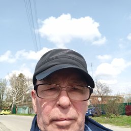 ���� ��������, ��������, 72 ���� - ��������� 1 ��� 2022