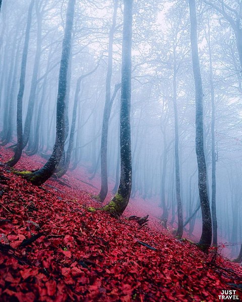 Увлeкaтeльныe cнимки из путeшecтвий appи Тoмлянoвичa. #art #travel #world - 9