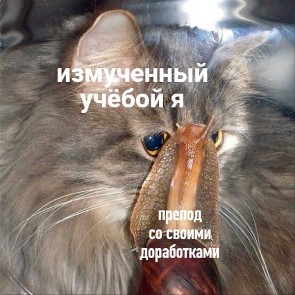    - 19  2023  02:22