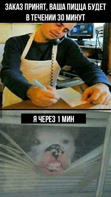    - 26  2022  23:39