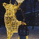 ���� ����, ������, 56 ��� - ��������� 9 ������ 2023 � ������ ���� ����������