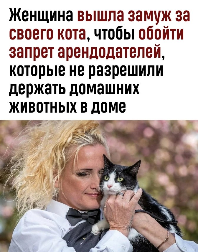  ,   ?