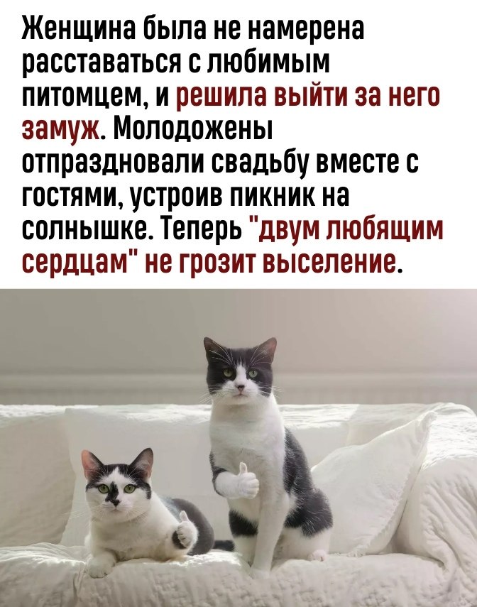  ,   ? - 3