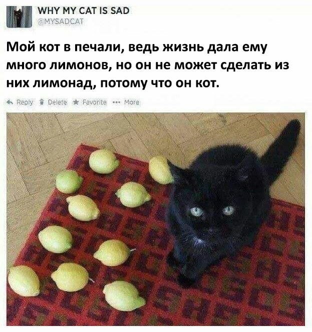    - 5  2023  13:19