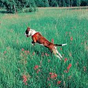 ���� Eva, ������ - ��������� 28 ������ 2023 � ������ ���� ����������