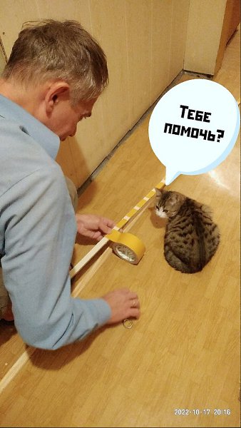 ��� ���� � ����� �� �� - 1 ������ 2022 � 00:00
