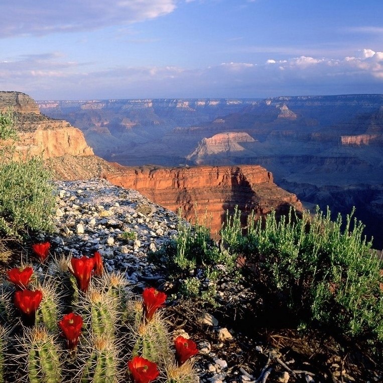 Grand Canyon National Park, U.S.A.