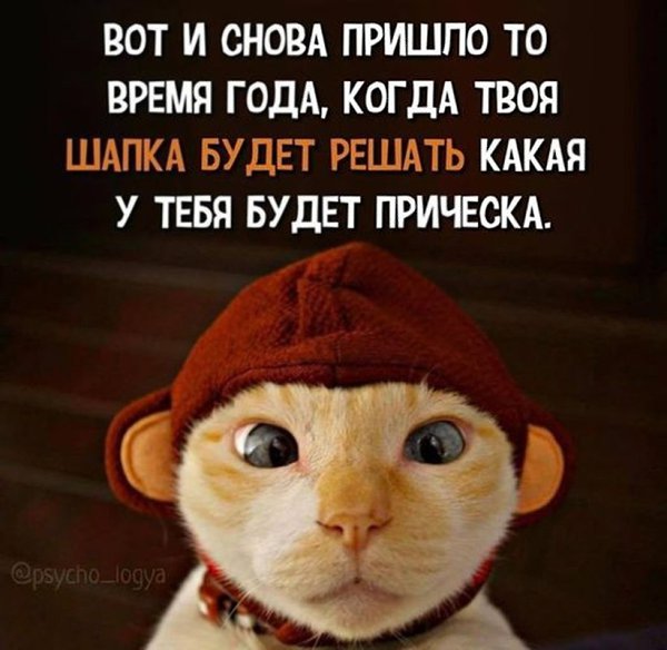   - 7  2022  20:56
