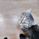 ���� ������, �������, 55 ��� - ��������� 27 ������ 2022 � ������ ���� ����������