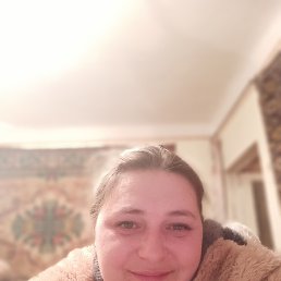 ���� �����, ������, 41 ��� - ��������� 4 ������ 2022