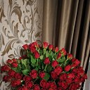 ���� ������, �����-���������, 56 ��� - ��������� 22 ������� 2022 � ������ ���� ����������