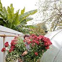 ���� ��������, ���������, 67 ��� - ��������� 25 ������ 2022 � ������ ���� ����������