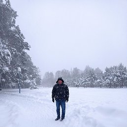 ���������, �����, 44 ����