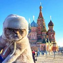 ���� ����, ������, 66 ��� - ��������� 11 ������� 2022 � ������ ���� ���� ������� ������