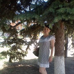 , 43 , 