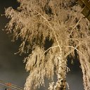 ���� ���������, ��������� - ��������� 10 ������� 2022 � ������ ���� ����������