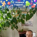 ���� ����, ������, 60 ��� - ��������� 29 ������ 2023 � ������ ���� ����������