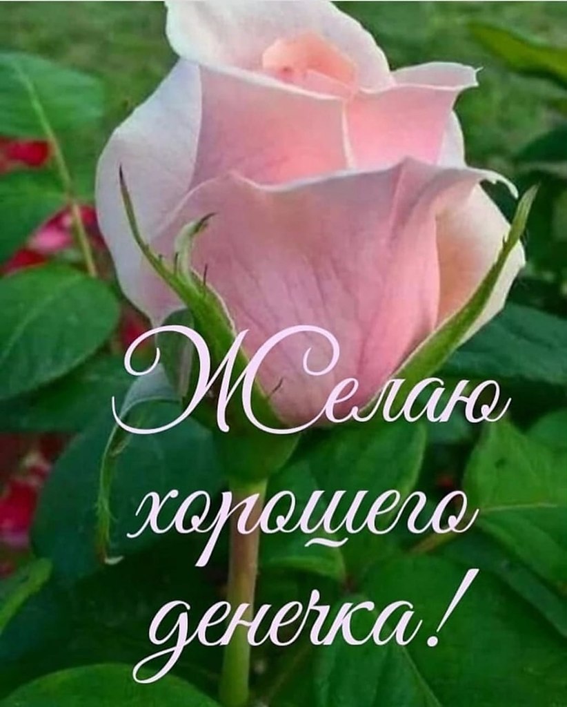   ,    . - 12  2022  14:19