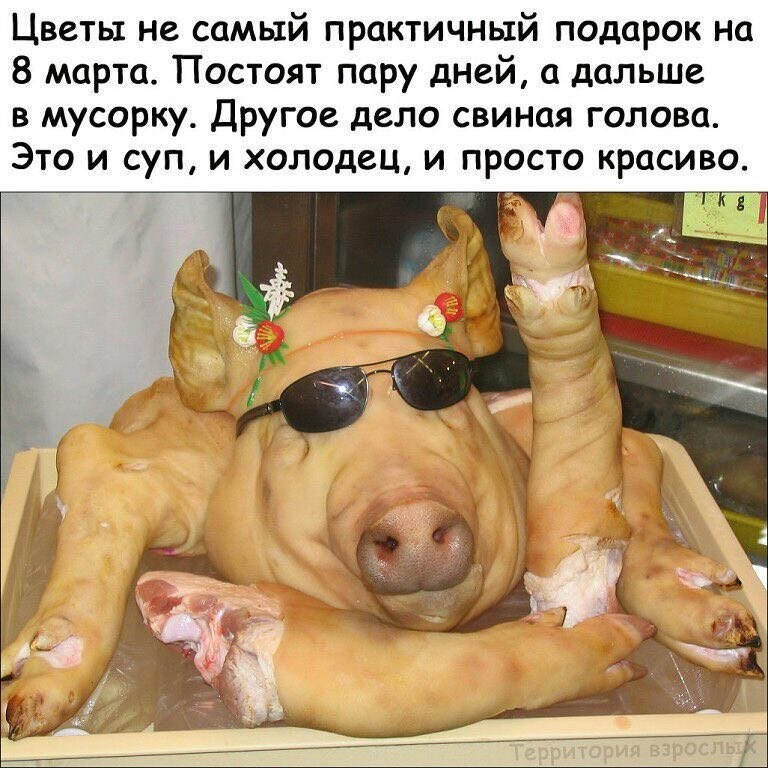 - 6  2022  18:01